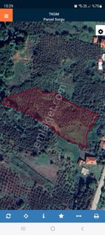 Ferizli Ceylandere Köyünde Satılık Köyiçinde İmarlı Fındıklık..erd'den