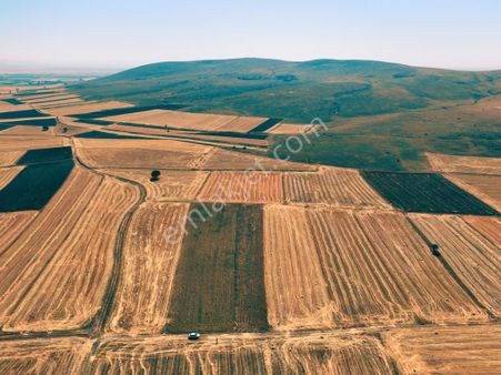 Remax Hür Halit Kolaç'tan Kütahya Altıntaş'ta Yatırımlık Tarla