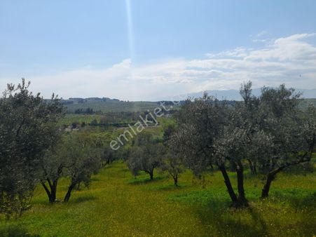 Çağlayan Köyde Satılık 2200 M2