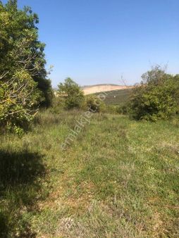 Başköy De İmara Yakın 3.200 M2 Satılık Tarla