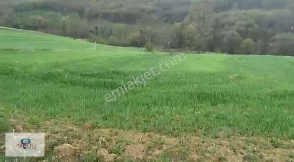 Kandıra Döngelli Mah.köşe Parsel Toplulaştırması Bitmiş Satılık