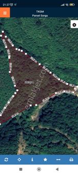 Trabzon Gülyurdunda Satılık 12.478m2 Arazi,