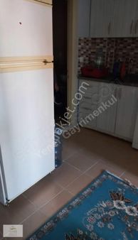 Anadolu Ünv.(şirintepe Mah) Yakını Kiralık Eşyalı 1+1 Daire