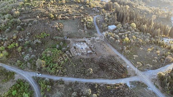 Tarcanlardan Villa Yapımına Uygun 775 M² Arsa Satılık!