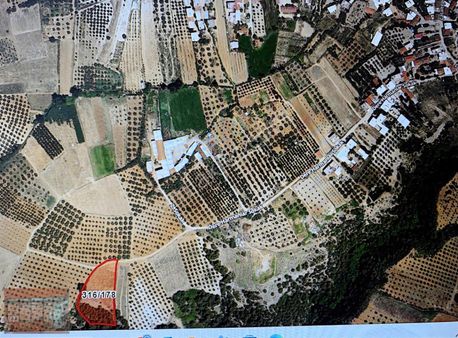 Kestel Çataltepe Satılık Tarla Köy Yanı