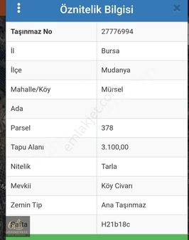 61 Gayrimenkul Den Mudanya Mürsel De Zeytinlik Tarla