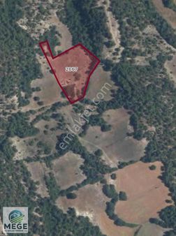 Megeden Orhanelinde Satılık Tarla