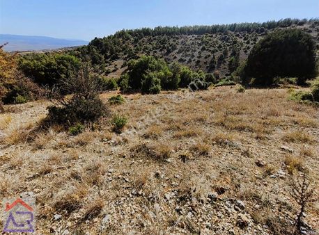 Ada Royalden Çal Da Tek Tapu Kadastro Yolu Mevcut Tarla