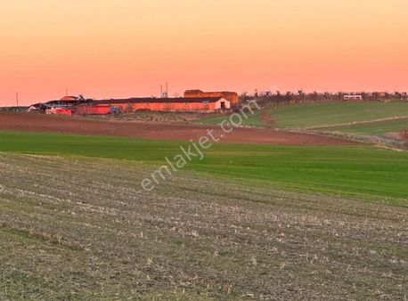 Marmaraereğlisi 274 M Deniz Manzaralı Kelepir Arsa..