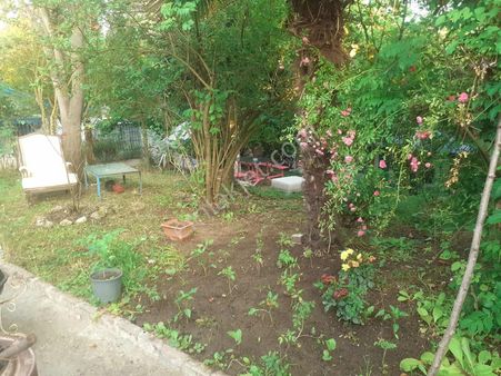 Tarcanlardan Doğayla Baş Başa Yaşam! Kiralık Daire Fırsatı