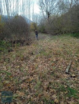 Dereye Cephe Resmi Yolu Olan Bungalovluk Tarla