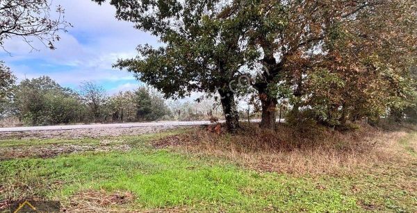 Yıldız Gayrimenkul’den Sebepli Mahallesi’nde 22.160 M² Asfalte Cephe Satılık Tarla!