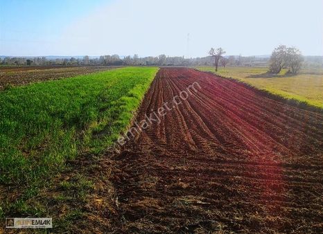 Gelibolu Evreşe Kırlar Mevkii Satılık Tarla
