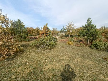 Remax Hür Ülkü Çakar'dan Sakarya Taraklı Harkköy Mah. Satılık Tarla