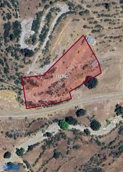 Antalya Manavgat'ta 6000 Metrekare Arsa Ve İçerisinde 1+1 Ev