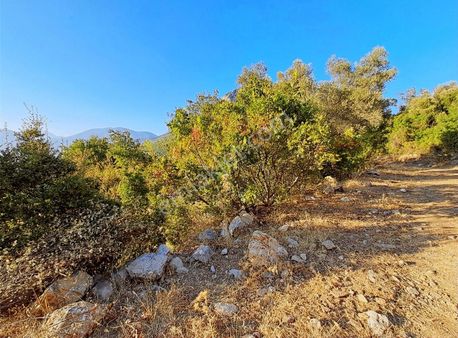 Mercan Gayrimenkul'den Yeşilüzümlü'de 750m2 Tek Tapu Arsa