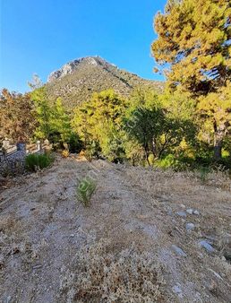 Mercan Gayrimenkul'den Yeşilüzümlü'de 864 M2 Tek Tapu Arsa