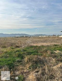 Menderes Bulgurca Akçaalan Mevki Satılık Hisse 1350 M2 Tarla