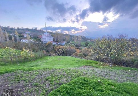 Havran Hüseyinbeşelerde 2 Tapu 615 Metrekare Arsa Ve Taş Eski Köy Evi