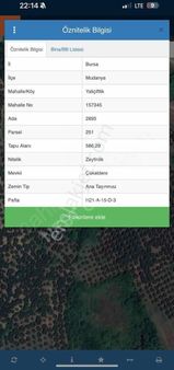 Nest Concept Mudanyada Deniz Manzaralı Hobi Bahçesi Tek Tapu