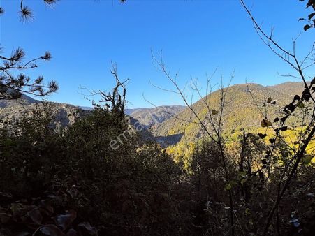 Mengen Karakaya Ev Yapılabilir Satılık Bahçe