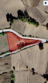 Akalanda Yerleşim Alanı İçinde 2 Cephesi Yol 3890 Tarla