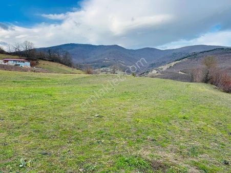 Atakum Akalanda 4.850m2 Tek Tapu Yatırımlık Doğa Manzaralı Tarla