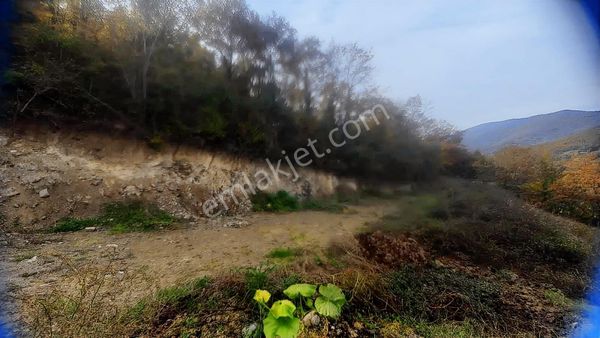 Atakum Akalan'da 3670 M2 Resmi Yola Cephe Doğa Manzaralı Tarla