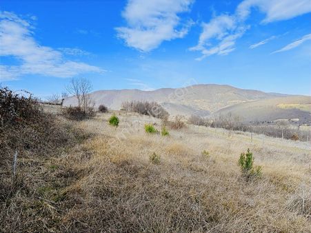 Akalanda Doğa Ve Deniz Manzaralı 2300 M2 Fırsat Tarla