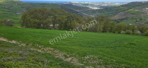 Atakum Sarıışıkta Full Deniz Manzaralı Yolu Açılmış 8355m2 Tarla