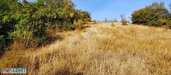 Kepsut Mestanlar Da Köye Yakın 23.000 M2. Tarla Satılık Açkl Bkn