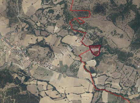 Elfi Den Satılık Çaltılı Mah. 8300 M2 Tarla