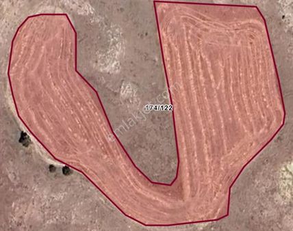 Hafik Koç Mahallesinde Satılık Tarla