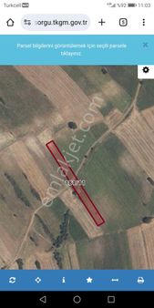 Remax Land'ten Uzunköprü / Muhacırkadı Köyü'nde Satılık Tarla