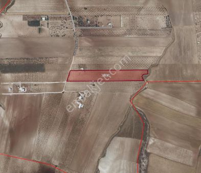 Yaşarsoy Gyo'dan Haliliye Aşağı İçkara'da 13 Yaşında Fıstıklık