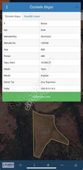 İznik Gürmüzlü De Satılık 18.596 M2 Göl Manzaralı Kıymetli Arazi