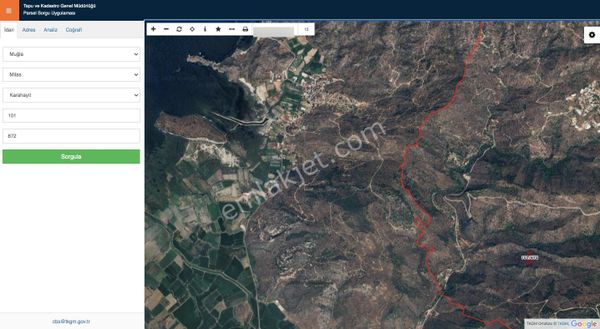 Muğla Milas Karahayıt Da Tek Tapu 6000 M2 Zeytinlik Arsası