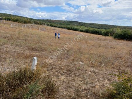 Silivri Çeltik Satılık Tarla