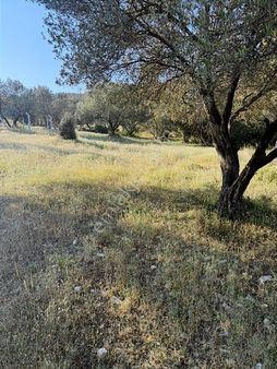 Foça Ilıpınar'da Satılık Tarla