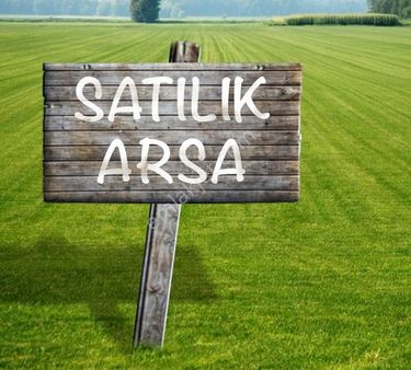 Bozbük Te Yola Cephe 2.310 M2 Satılık Zeytinlik