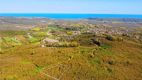 1955 M2 Deniz Manzaralı Müstakil Tapulu Fındık Bahçesi