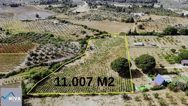 Acil Satılık 11.000 M2 Kelepir Bağ & Bahçe