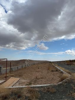 Talha Tozduman'dan Çayırbağında Anayol Yanı Süper Hobi Bahçesi