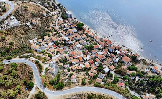 Karacaali'de 4.431 M2 Full Deniz Manzaralı Zeytinlik