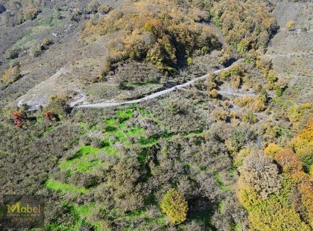 Mabel'den Müstakil Tapulu 6300m2 Satılık Fırsat Tarla