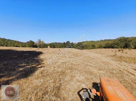 M.kemalpaşa Doğanalan Köyü 9.655 M² Tek Tapu Yatırımlık Tarla