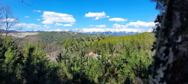 Keles Akçapınar Köyünde Manzaralı Satılık Tarla