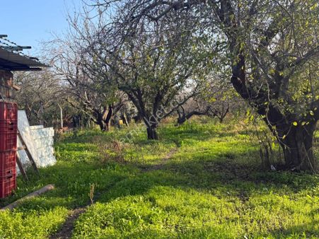 Turgutlu Nurcan Emlak'tan 9.mıntıkada 15.200 M² Satılık İmara Yakın Arazi