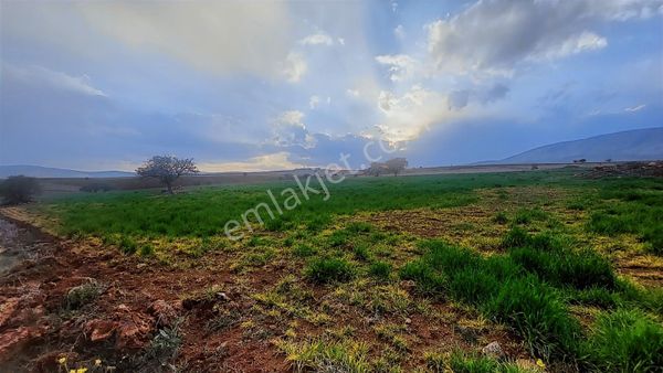 Talha Tozduman'dan Çayırbağında Anayola Yakın/müstakil 15.320 M2