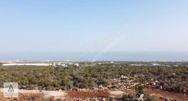 Kumkuyu Akdeniz'de Satılık 11 Parsele Bölünebilir İmar Parseli